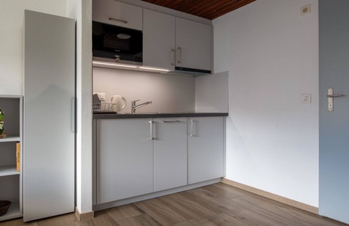 Riederalp Apartment | Zurschmitten 10 2. UG Süd by Interhome