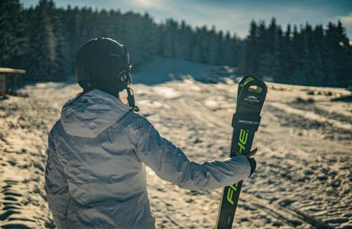 Vitosha District Bed & Breakfast | Zvezditsa Chalet