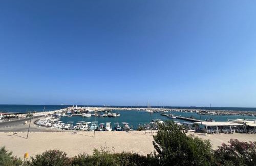 Zygi Apartment | Zygi Beachfront Retreat!