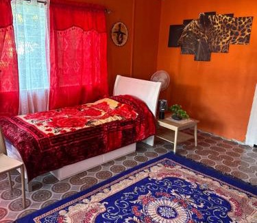 Haalalo House | Zzz