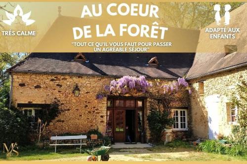 Évasion Forestière : Charme au Cœur des bois