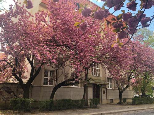 Апарт-отель "ГАЛАГОВЪ"