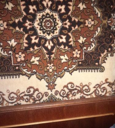 Будиночок біля лісу