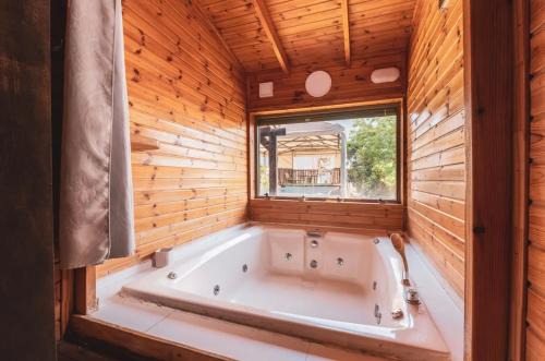 החזון של עדן