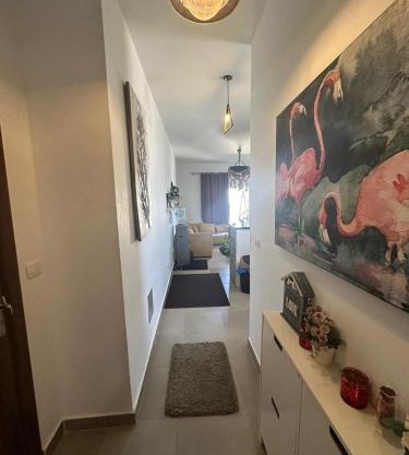 امواج الساحل الشمالى الساحل الشرير