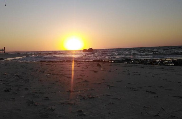 شقة فندقية - برج نجمة القصر