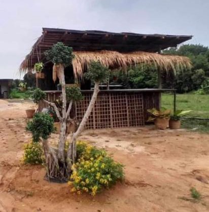 ทุ่งนากางเต้นท์ Countryside