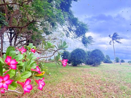 พฤกษาวารี รีสอร์ท