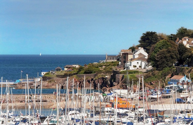 1 bedroom accommodation in Brixham