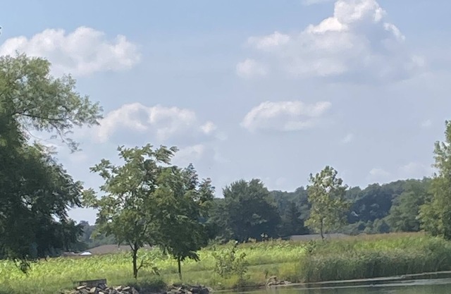 10 acre property with pond, for glamping experience.