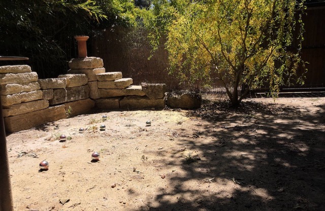 10 minutes from Montpellier Mas de BIAR, swimming pool, wooded garden, countryside, vineyards