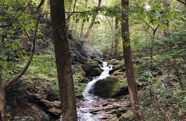 100+ Beds - 100 Friends - 32+ Acres bordering preserved Forest Park and Trails