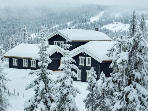 12 person holiday home in Fåvang