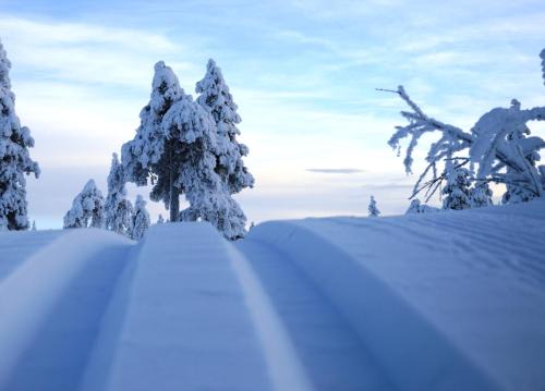 15 - Fulufjellets nasjonalparker - Natur-, dyre- og fugleopplevelser