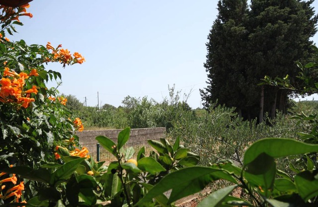 17 m² Studio flat ∙ 1 bedroom ∙ 2 guests