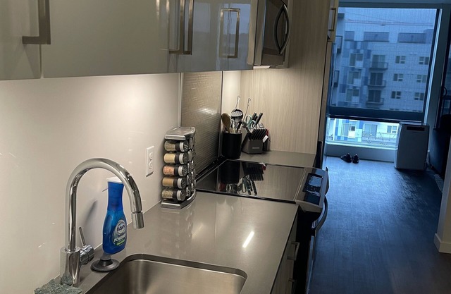 1BDRM Apartment in Downtown Redmond