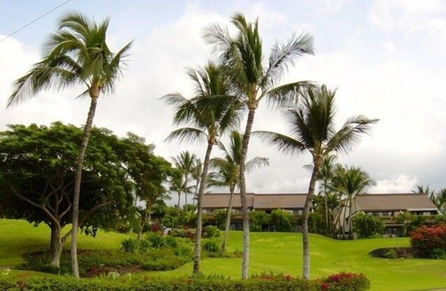 1BR/2BA Maui Kamaole/Wailea Border. K Cluster @ Tropical Pool!
