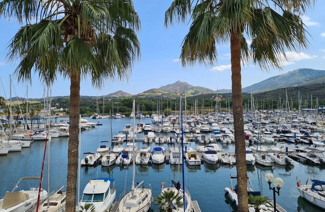 1BR+Cabin Apt, 4-6 guests, Parking, 150m to beach - Argelès-sur-Mer