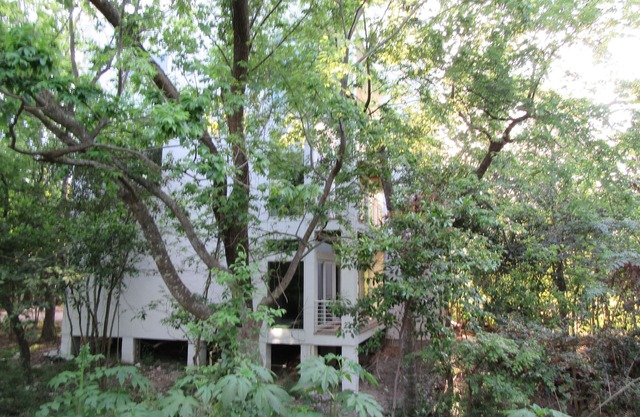 1st Flr Apt in Native Woods, Next to Bayou Trails, Washington St/Heights Area
