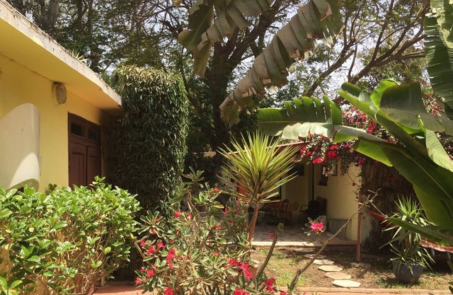 2 beautiful large studios for rent, furnished, at Point E, beautiful garden