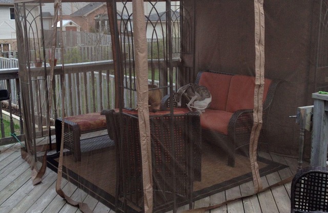 2 Bedroom in Beautiful Niagara Region wineries district in lovely Smithville ON