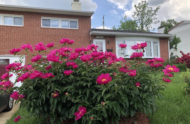 20% discount-Baltimore& DC Metro area