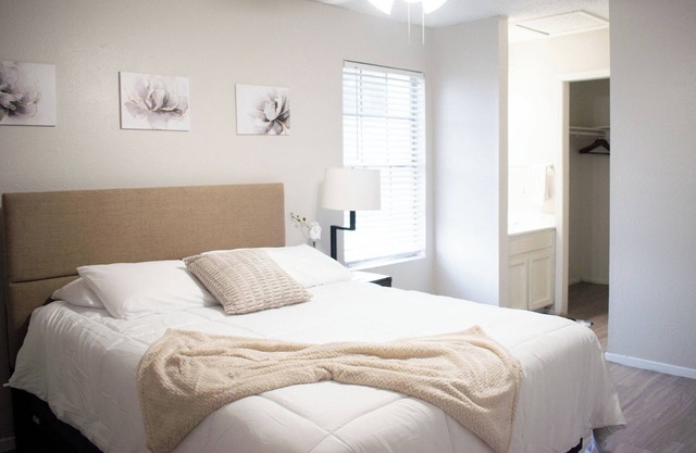 2BR 1BA 10mins Downtown UT Domain and Samsung Pool- Walkin Public Transportation