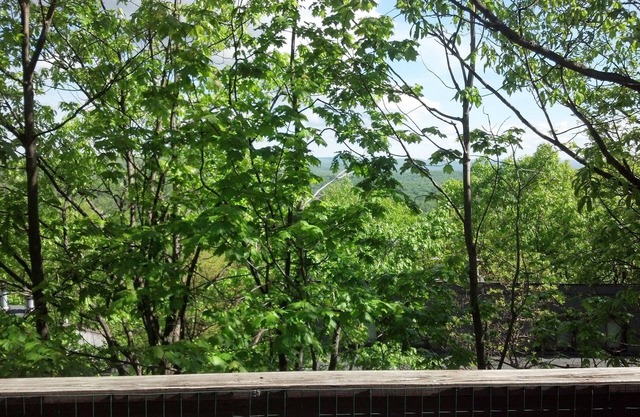 3 Br- Townhouse On Camelback Ski Mountain (Village At Camelback)True ski In/Out