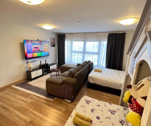 3 KAROKE kids play Big TV&Duplex unit 9 pax