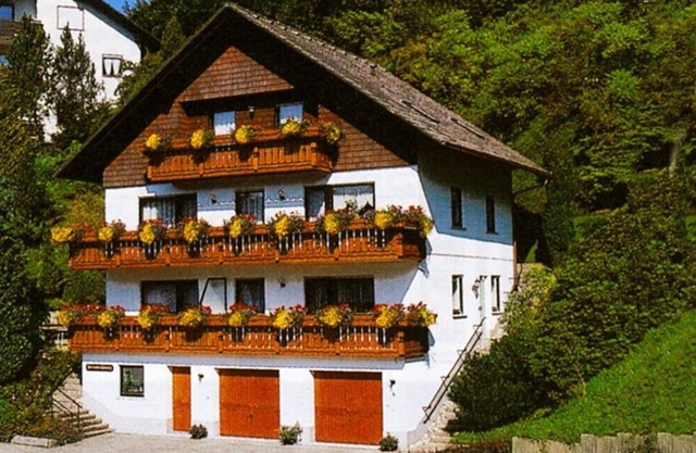 3 star apartment, sunny location facing south, marvellous view, winter sports