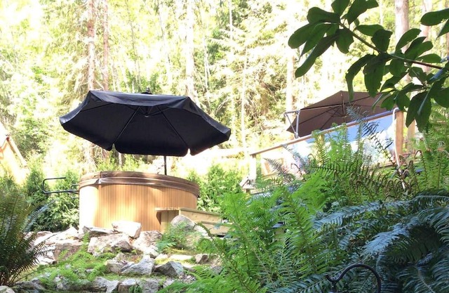 30 plus day rentals welcome. Hot tub, forest setting, steps to lovely little bay