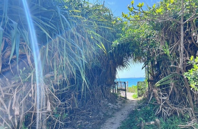 30 sec walk to the sea15 min drive to the resort/Kunigamigun Okinawa