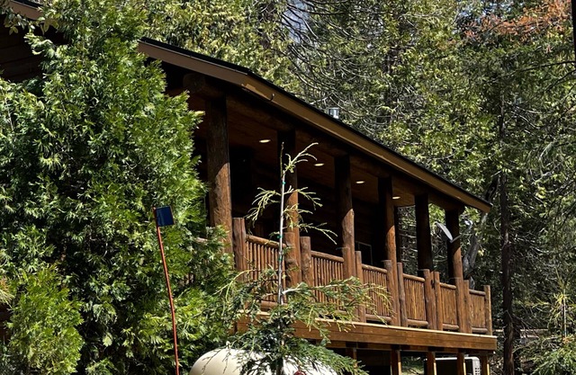 (38) The Mini Cabin at The Redwoods In Yosemite