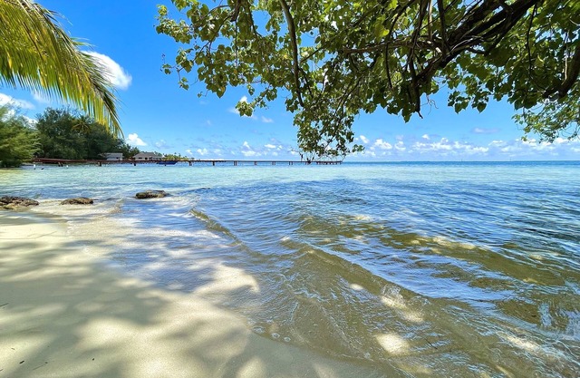 3BR 3BA private beach Villa w/kayaks +1-acre-tropical garden