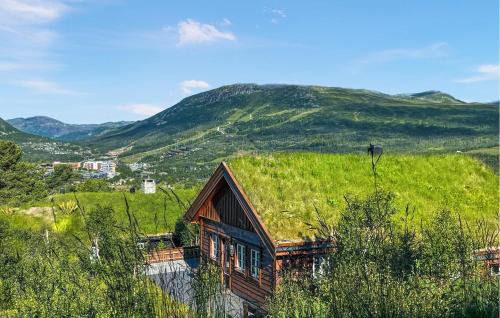 4 Bedroom Gorgeous Home In Hovden I Setesdal