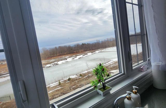 4-bedroom newly built house in Pickering.