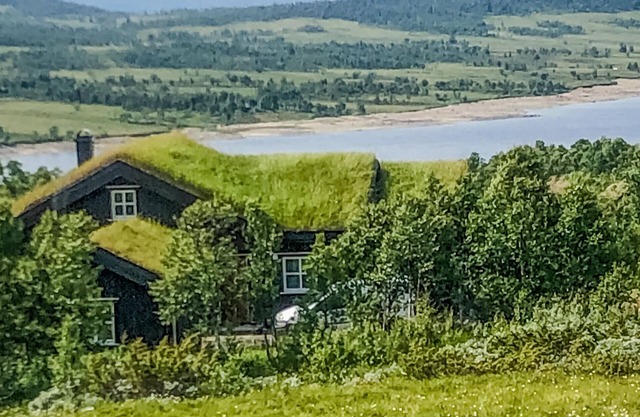 5 bedroom amazing home in Rauland