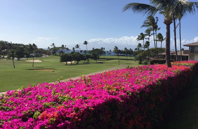 5 STAR!-Largest 2bd/2ba remodeled condo Super Ocean & Golf Course Views