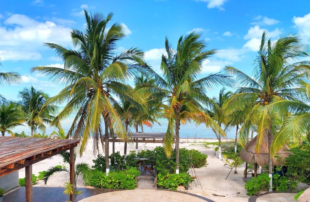 6 BDR - Spectacular beachfront home