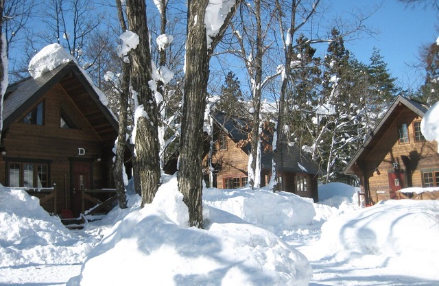 7person capacity 2LDK log house cottage with loft/Kitaazumigun Nagano