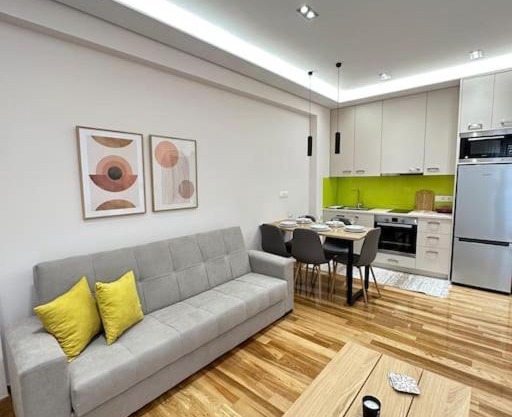 A fully renewed modern apartment