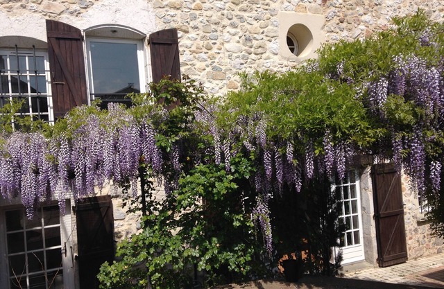 A haven of peace at the foot of the Chartreuse
