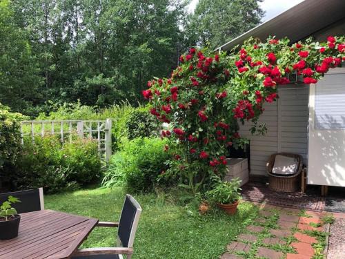 A hidden gem for family