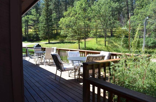 A large 3 bedroom, 2 bath cabin minutes from Rushmore