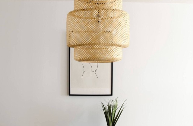 A Mid Century Modern Dream