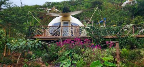 A Nomad's Rest Lodge