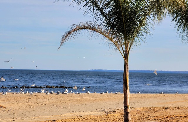A Peaceful Escape just minutes away from the Beach Great Location & Spacious