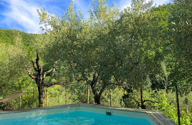 A tuscan house in the middle of olive-trees
