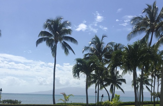 About As Close to the Ocean As You Can Get!!! (Wavecrest Resort)