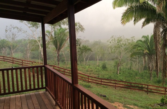 AC; Rainforest; Swim; Pets Ok; Family-friendly; Lush Tropical Views